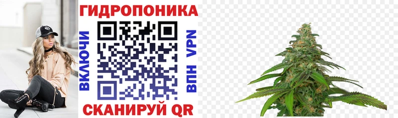 Наркошоп купить Бошки Шишки Псилоцибиновые грибы Меф Alpha PVP Лесозаводск