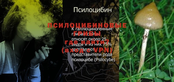 мяу мяу мука Дмитров