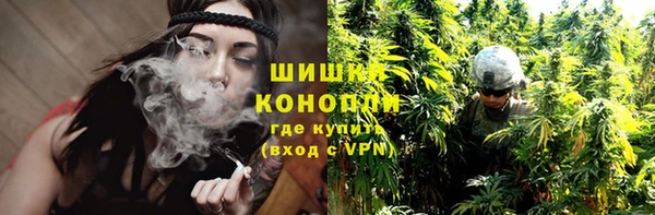 дурь Дмитриев
