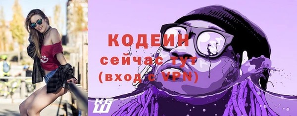 дурь Дмитриев