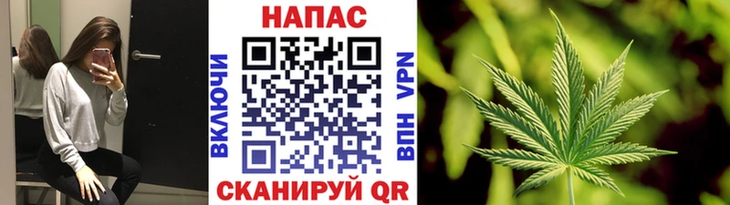 Купить закладки  Лесозаводск  Бошки Шишки план 